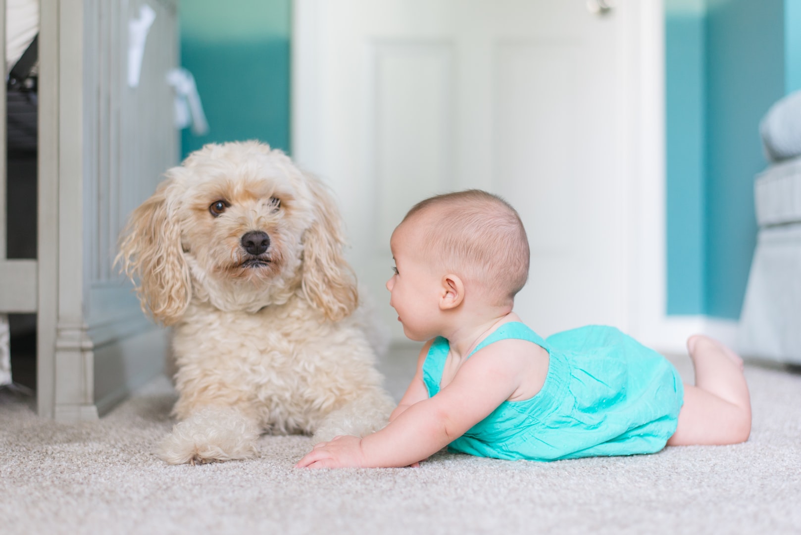 dog and baby laying on carpet